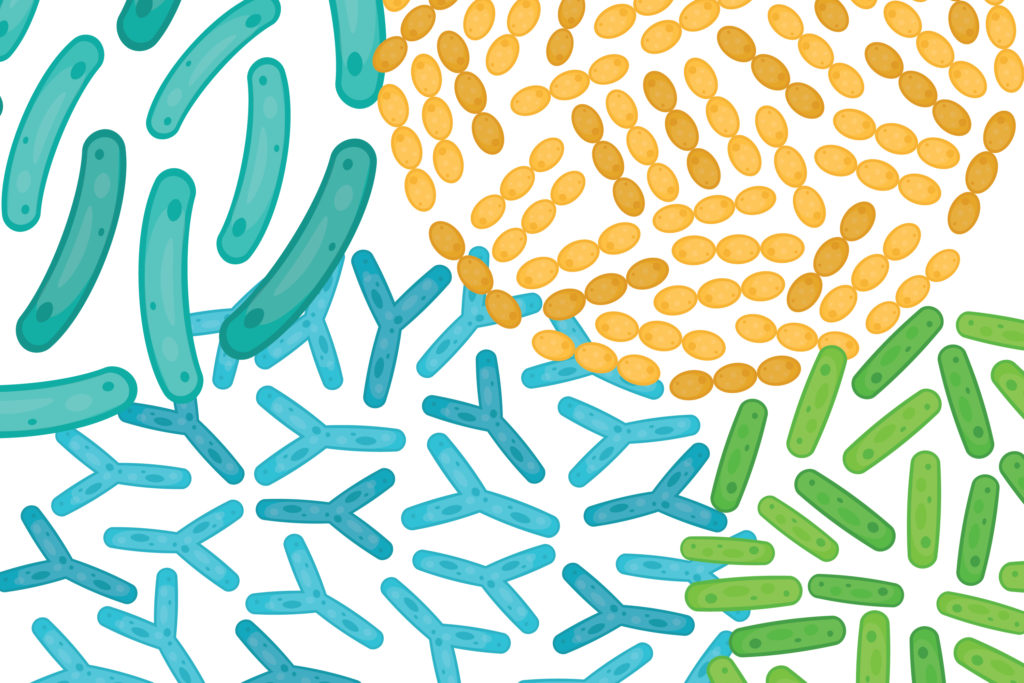 Illustration of probiotics at a cellular level.