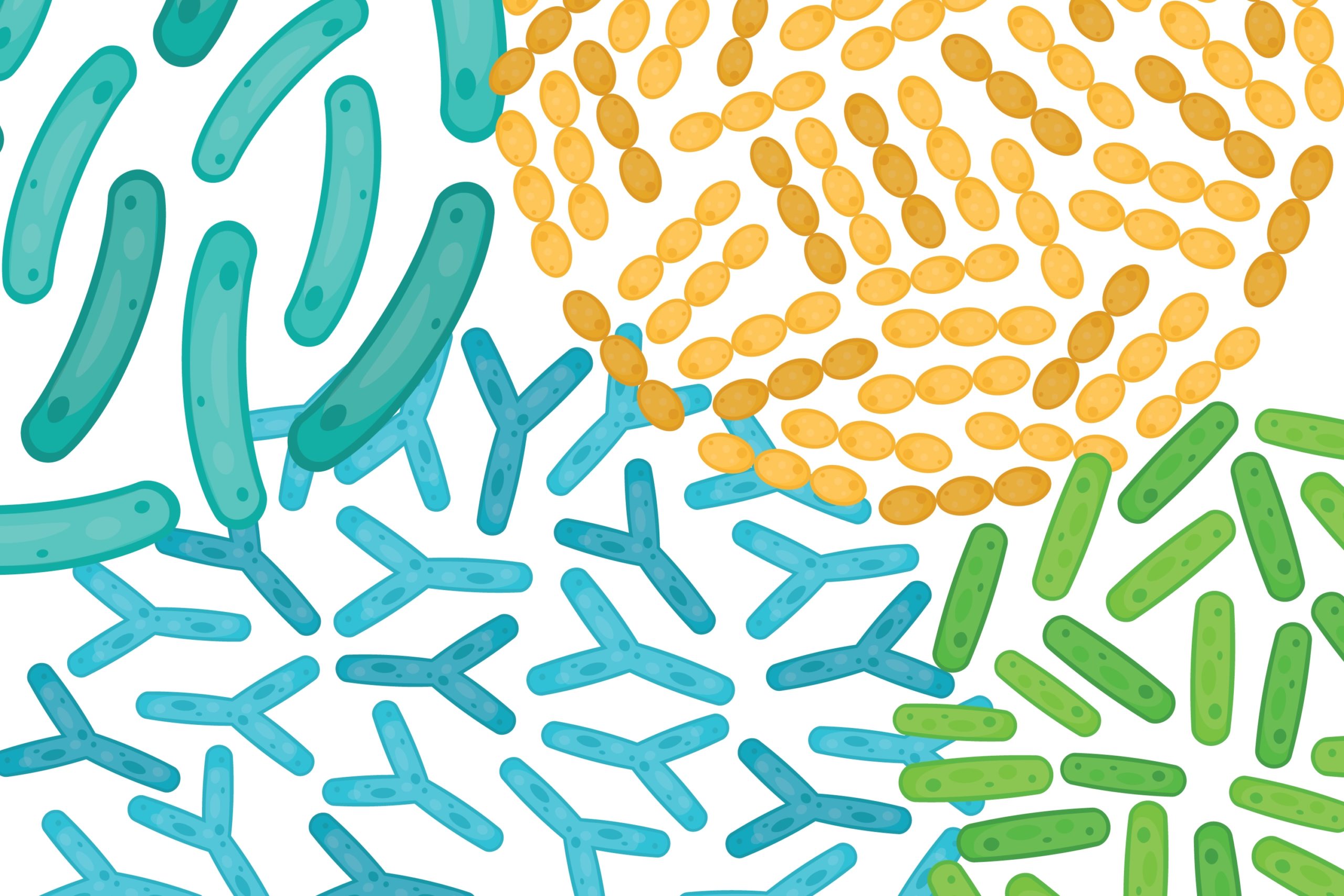 Illustration of probiotics at a cellular level.