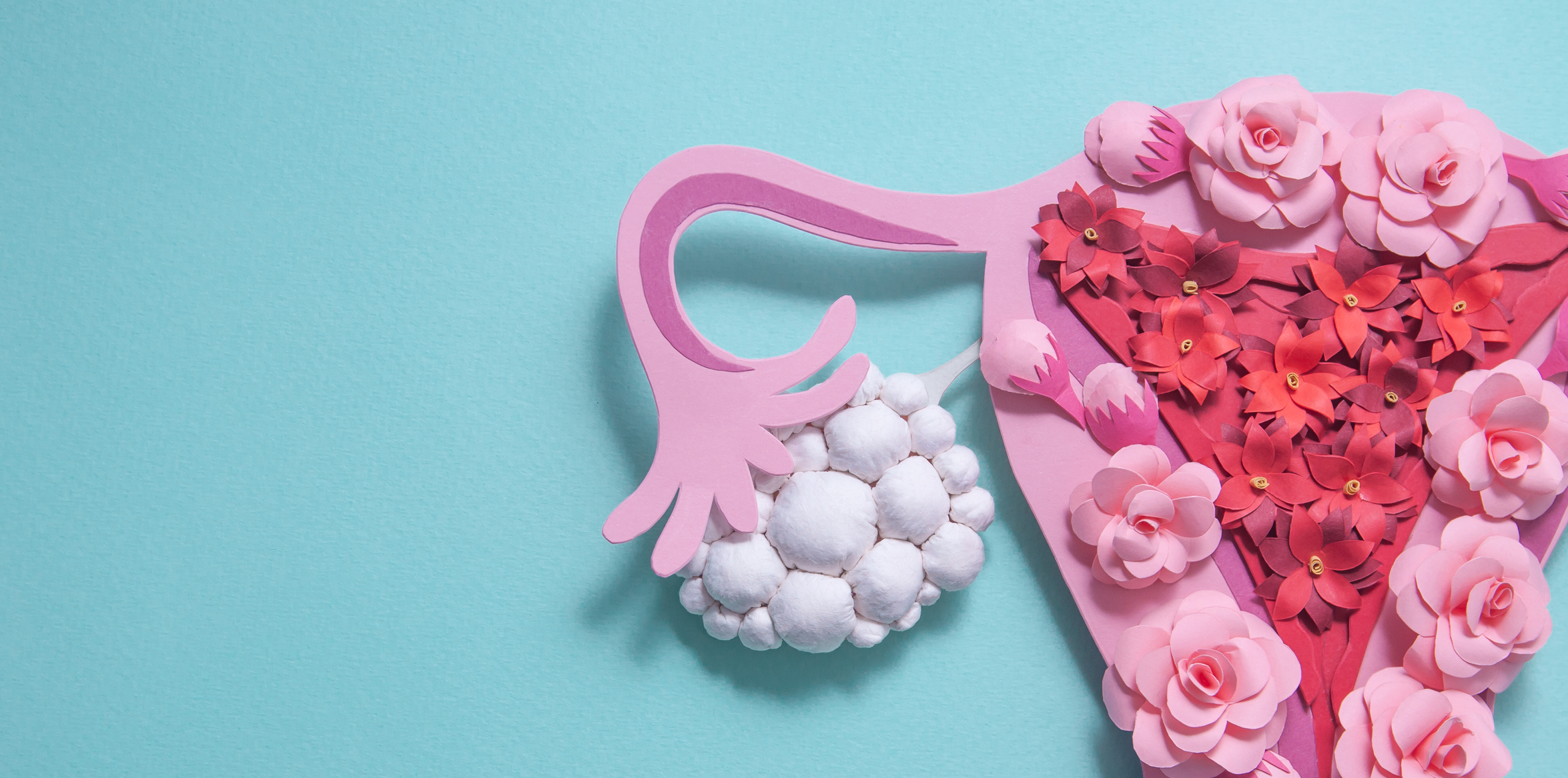 female reproductive system made out of paper flowers