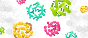 the science behind Endomune Advanced probiotics featuring different strains and species of beneficial probiotics