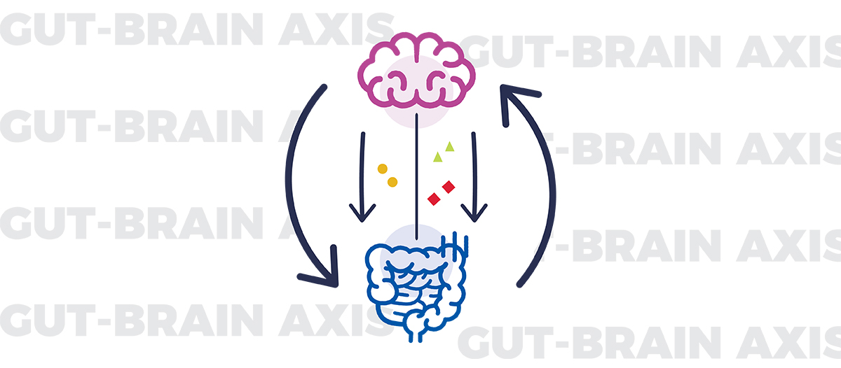 gut-brain axis and the connection to mental wellbeing