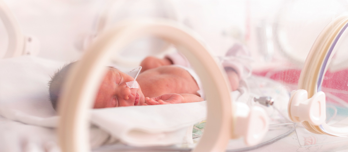 Probiotics for preterm babies