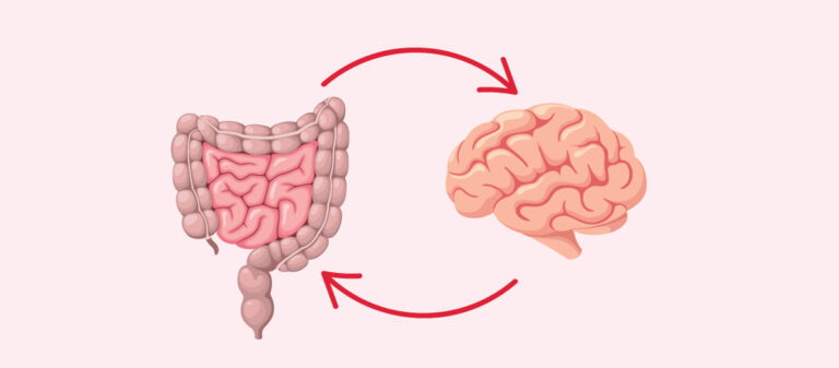 gut health may support brain health, gut-brain connection