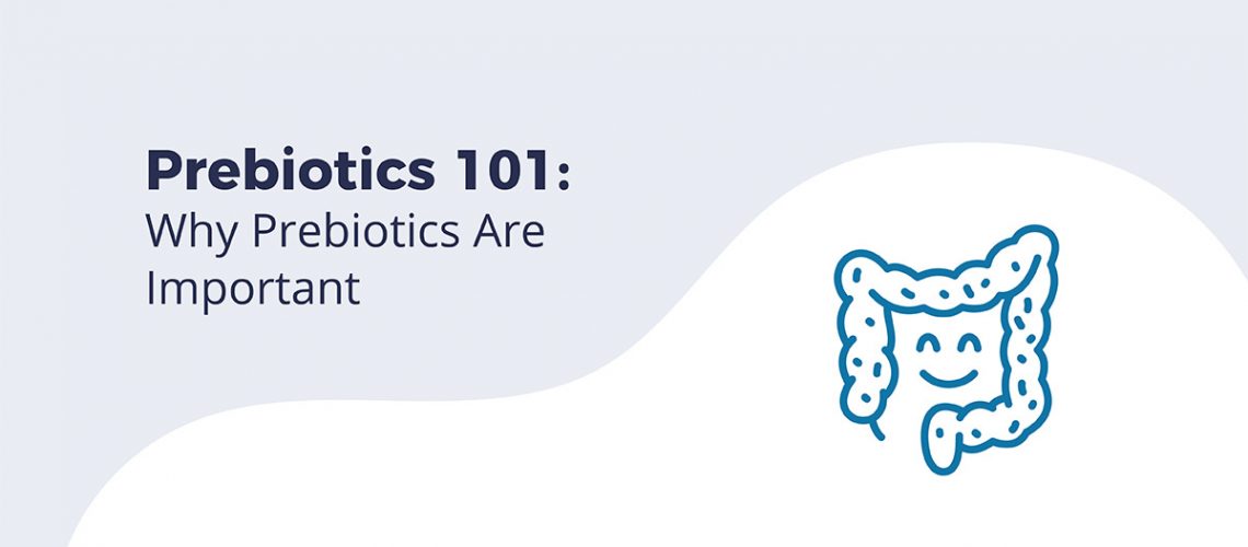 Cute vector graphic of a smiling gut. Large intestine shapes the head of character with a smiling face in the center. Text reads "Prebiotics 101: Why prebiotics are important